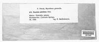 Image Associated With the Occurence